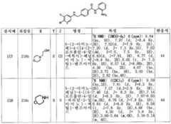 Figure 112006077693653-pct00117