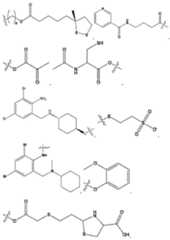 Figure imgf000058_0001