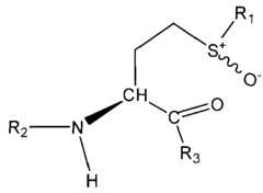 Figure imgf000040_0001