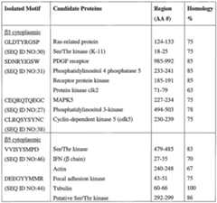 Figure imgf000091_0001