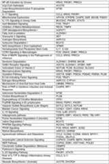 Figure imgf000083_0001