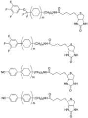Figure imgf000029_0001