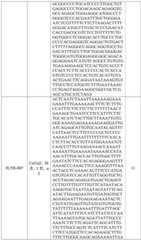 Figure BDA0002572923940000641