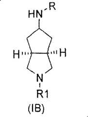 Figure A2007100043300004C1