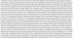 Figure PCTCN2022073808-appb-000096