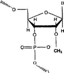 Figure GSA00000011609800081