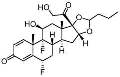 Figure BDA0002889616220003171