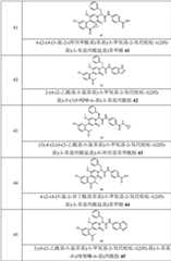 Figure GPA0000257967300000191