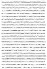 Figure 104109152-A0202-12-0082-10