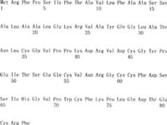 Figure A200680035037D01142