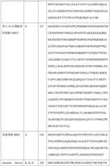 Figure BDA0004113681710000571