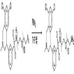 Figure 112011059052603-pct00400