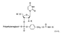 Figure imgf000259_0001