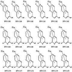 Figure 112017069402610-pat00068