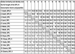 Figure imgf000208_0001