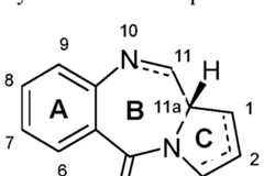 Figure imgf000004_0001