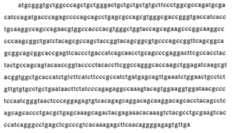 Figure 106123980-A0202-12-0037-10