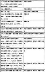 Figure BSA0000176163890000161