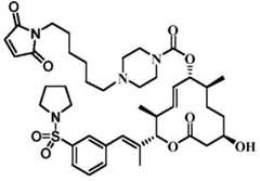 Figure BDA0002808063770003652