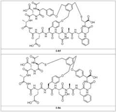 Figure 2024156841000369