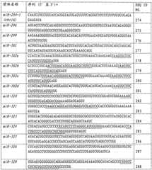 Figure G2007800067508D00222