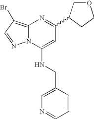 Figure US07119200-20061010-C01394