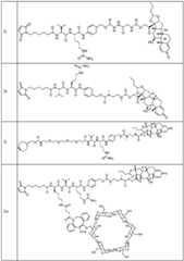 Figure FDA0002889616210000641