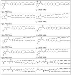 Figure imgf000054_0001