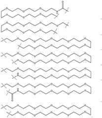 Figure BDA0003027048450001911