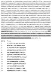 Figure imgf000096_0001