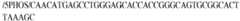 Figure imgb0071
