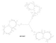 Figure 0007704732000096