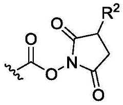 Figure BDA0003018192690002642