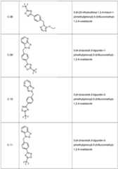 Figure imgf000061_0001
