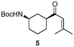 Figure BDA0001453135130003162