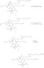 Figure US10835578-20201117-C00172