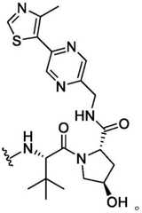 Figure BDA0003783300830001374