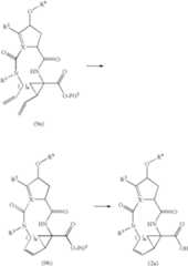 Figure US08637663-20140128-C00024