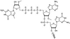 Figure imgf000064_0001