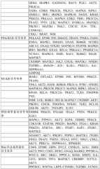 Figure BDA0004033970230003901