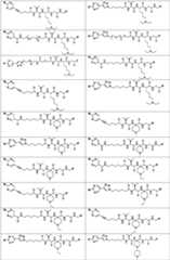 Figure PCTCN2022073822-appb-100077