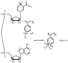 Figure imgf000060_0001