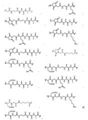 Figure 112151408-A0202-12-0025-52