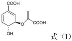 Figure BDA0001695985990000031