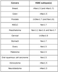 Figure imgf000023_0001