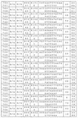 Figure 0007646616000197