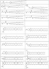 Figure imgf000041_0001