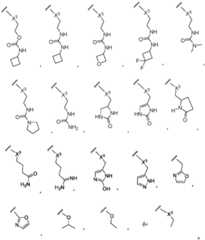 Figure BDA0003652151060000622