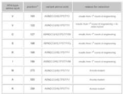 Figure imgf000097_0001