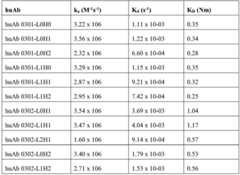 Figure BDA0003528168000000502